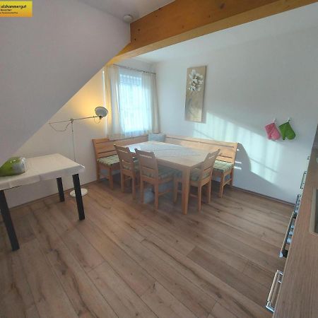 Апартаменты Haus Sandlweber Бад-Миттерндорф Экстерьер фото